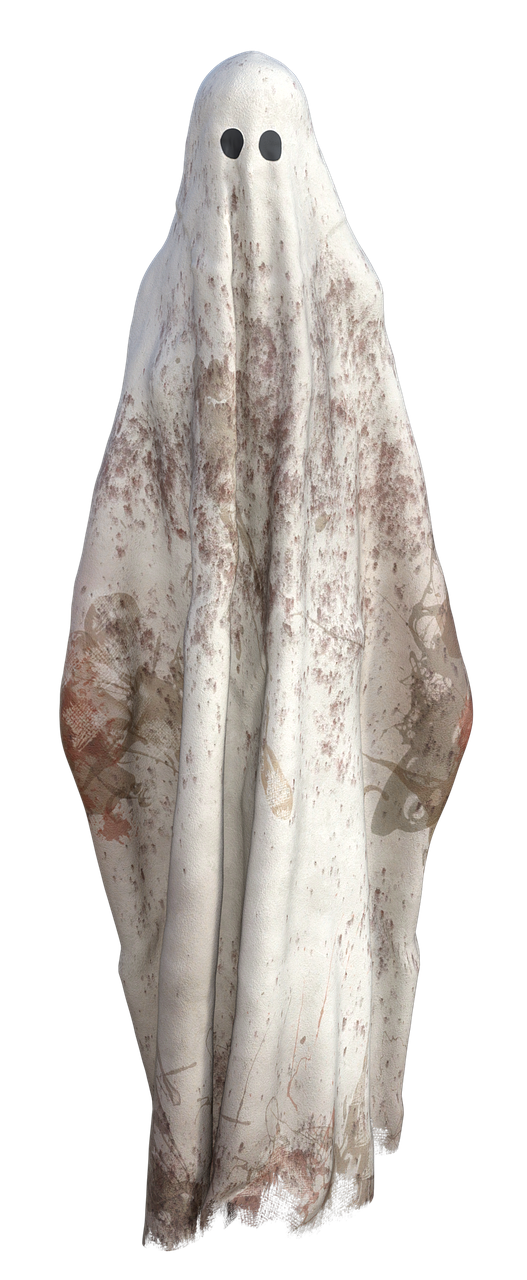 Ghost Image